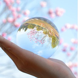 3 inch(80mm) Clear Crystal Ball Globe with Clear Crystal Stand for Wedding/Home/Office Decoration Feng Shui/Divination Photography or Magic and More