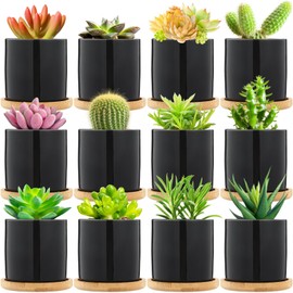 Cindeer 12 Pack Small Succulent Pots 3 Inch Ceramic Planter Pot and Bamboo Tray with Drainage Hole Mini Flower Plants Pots for Succulents Cactus Indoor Garden Decorations, Plant Not Included (Black)