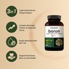 Boron 10mg, 300 Softgels with MCT Oil | High Absorption
