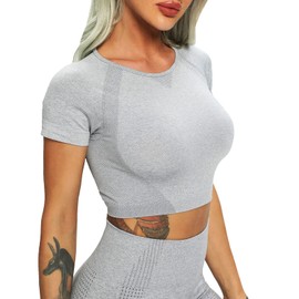 FITTOO Women's Short Sleeves Workout Crop Tops Seamless Sports Shirts Fitness Activewear Light Grey S