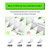 500 Pre made Fans Lash Extensions 10D 13mm Single Length