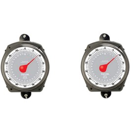 Taylor Precision Products Dial Style 70-Pound Industrial Hanging Scale (2)