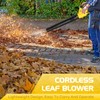 Leaf Blower, Electric Cordless Leaf Blower with 2 Batteries and