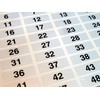 31x10mm, Black on Silver Labels, Consecutively Numbered 1 to 100,