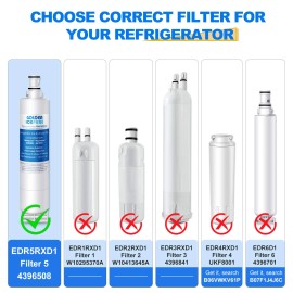 Golden Icepure Refrigerator Water Filter Compatible With 4396508,439651