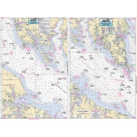 Captain Segull Inshore Potomoc River VA Fishing Nautical Chart