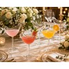 Bird-Shaped Cocktail Glasses 5oz/150ml – Creative Clear Glass Goblets, 2pc