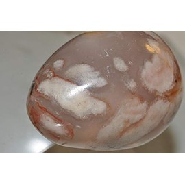 ✦ Bella-gems ✦ 55x39mm - 2.1"- 110gms "Ethereal Rare/Unique Flowers/Top Grade"~Madagascar Sakura Flower Agate Chalcedony Egg- I1297