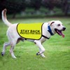 STAY BACK Dog Safety Vest, High Visibility Vest for Dogs,