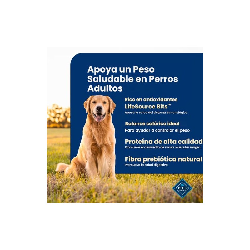 Life Protection Formula Receta de Pollo y Arroz Integral para