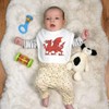 Azeeda 'Traditional Welsh Dragon' Soft Cotton Baby Bib (BI00061453)