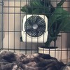 Treva 5-inch Pet Crate Fan for Cooling Dogs and Other