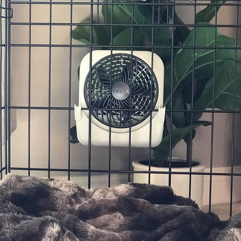 Treva 5-inch Pet Crate Fan for Cooling Dogs and Other