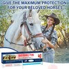 edoia Equine Paste 1.87% – 6 Pack (6.08g) Apple Flavored