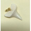 Unbranded Real Shark Teeth Shiny Pendants