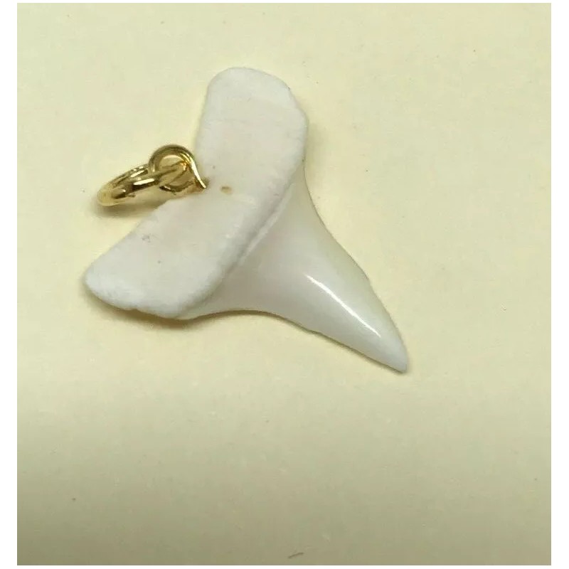 Unbranded Real Shark Teeth Shiny Pendants
