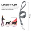 Dog and Cat Universal Harness with Leash - Cat Harness