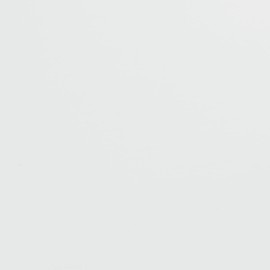 ANT Matte White, 24" x 15’, Permanent Vinyl Roll, Adhesive Vinyl Roll, for DIY Project, Decal, Sticker, Compatible with Cricut, Cameo, Silhouette, Weather-Resistant