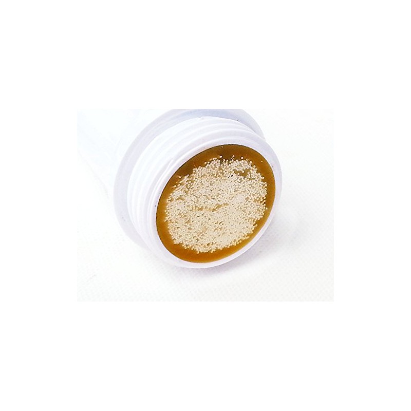 Water Shield Replacement Filter Handle White with Innovative Hollow Fibre