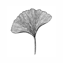 Beeswax Large Ginkgo Leaf Beeswax Rubber Stamp Mounted Scenic Landscape Plant