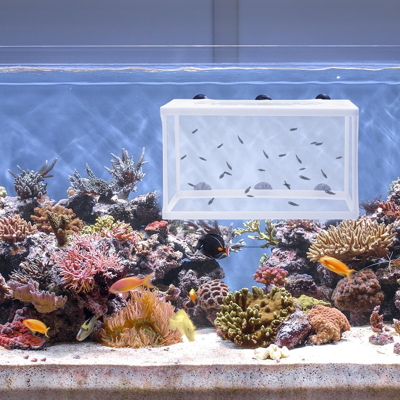 POPETPOP Fish Breeding Box Fry Hatchery Nylon Mesh Net, Aquarium