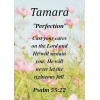 Tamara "Perfection" Keepsake Name Meaning Card with Bible Verse