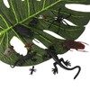 50 PCS Halloween Bugs,Plastic Spiders Halloween,Plastic Spiders,Plastic Bugs,Fake Spiders,Fake Spider,Bugs,Halloween
