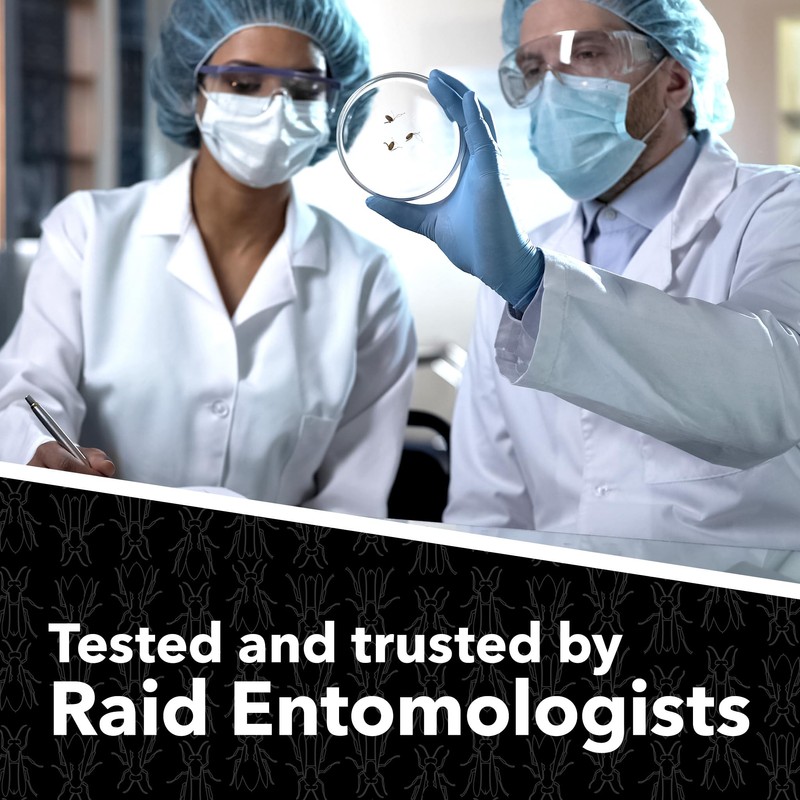 Raid Max Foaming Wasp & Hornet Killer, Fast Coverage Foam,