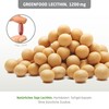 Lecithin, 1200 mg, 240 capsules, high dose, without artificial additives,