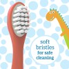 Dr. Brown's Toddler Toothbrush, Dinosaur, Green and Orange, 2-Pack