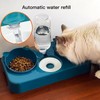 Cat Food and Water Bowls Set, Dog Cat Bowl with
