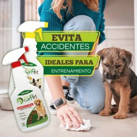 Repuesto Mediano Para Tapete Entrenador Pasto Sintético Green Carpet                                                                                  