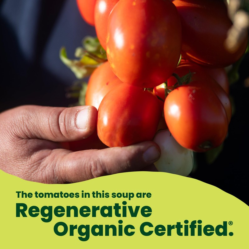 Pacific Foods Organic Condensed Tomato Soup, 10.75 oz Can (12