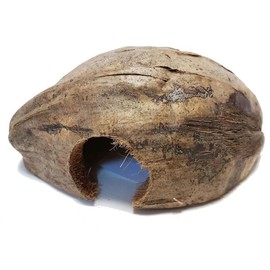 Reptile Planet Coco Tube Cave for Reptiles/Amphibians Coco House