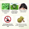 Indus Valley Organic Henna Hair Colour Kit for Women- Chemical-Free,