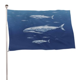 Small Blue Whale Swimming Flag Garden Flag Garden Flags for Outside Yard Flags Welcome Garden Flag Seasonal Garden Flags House Flag Outdoor Flag Welcome Flag Fade Resistant Flag 60x96 in