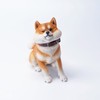 MMOS X JXK Winking Shiba Inu Dog Statue with Intricate