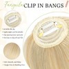 Fanguilar Clip in Bangs-Fake Bangs Hair Clip Ash blonde mix