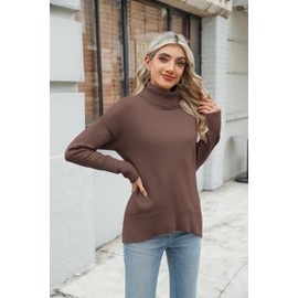 Zeagoo Women's Sweaters Casual Knitted Jumpers Elegant Turtle Neck Sweater Roll Neck Ladies Long Sleeve Tops Autumn Winter Brown M