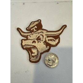 Texas Longhorns Vintage Embroidered Iron On Patch  3.5” X 3”