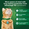 Advantage XD Large Cat Flea Prevention & Treatment For Cats
