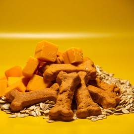 Activa 2lb Cheddar Cheese Gourmet Dog Biscuits | Crunchy Dog Treats | Cheddar Cheese Flavor Dog Treats (Medium, Cheddar Cheese)