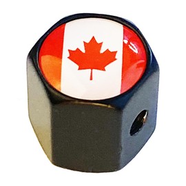 Anti Theft Tire Valve Stem Caps for Cars Trucks Motorcycles SUVs and Bikes | Tire Valve Caps | Tire Caps | Tapones para Llantas de Carro (CAN Black)