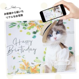 Square Shop Wall Sticker Birthday Decoration 1 Year Old Girl Boy Sticker Decoration 2 Years Old 3 Years Old Stylish (Normal Size, 8 Fresh Bouquet)