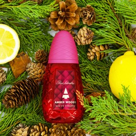 Pino Silvestre Amber Woods Cologne for Men - Aromatic, Woody, Spicy Scent - Blended with Lavender, Patchouli, and Sandalwood - 2.5 oz EDT Spray