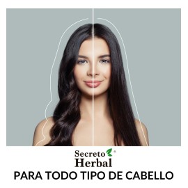 Shampoo Secreto Herbal con Extractos Naturales de Romero y Cola de Caballo  Anticada y Crecimiento Para Cabello Teido y Todo Tipo de Cabello 1 L      