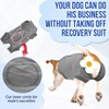 Lukovee Recovery Suit for Dogs, Onesie Surgery Recovery Suit for
