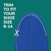 Dr. Scholl's ® Prevent Pain Lower Body Protective Insoles, 1