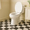 Wood Toilet Seat, Slow Close, High Gloss Finish, Premium Moulded