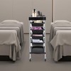 Kathring Salon Trolley Cart, 6 Layer Hair Salon Storage Tool